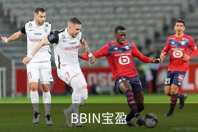 BBIN宝盈公司简介图片
